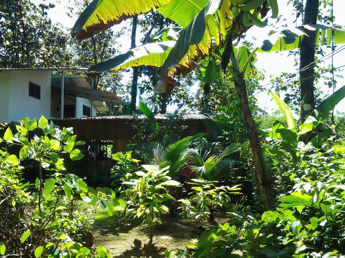 Hotel Osa De Rio Uvita Esterno foto