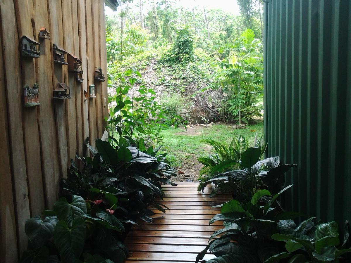 Hotel Osa De Rio Uvita Esterno foto